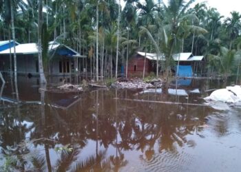 Banjir Rob Hingga 1 Meter Genangi Rumah Warga Desa Kempas Jaya