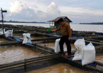 Pantau Kerambah Ikan, Al Haris : Perlu Tingkatkan Nilai Tambah