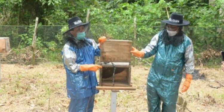 Gandeng Unja, Desa Rambahan Gelar Pelatihan Budidaya Lebah Madu