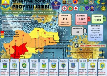 Kasus Terkonfirmasi Positif Covid-19 Bertambah 20 Orang, 3 Orang Berasal dari Tanjabbar