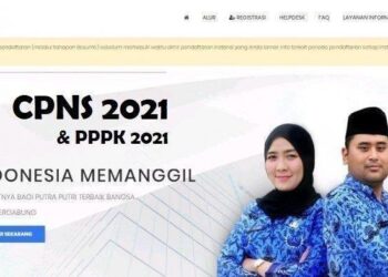 Jelang CPNS 2021, Simak 4 Formasi yang Menjadi Prioritas