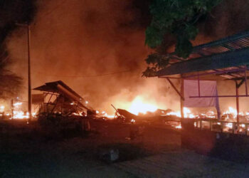 11 Rumah di Desa Purwodadi Hangus Terbakar, Satu Petugas Meninggal Dunia