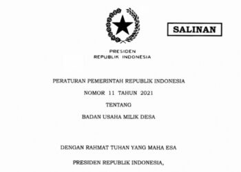 PP Nomor 11 Tahun 2021, Buka Peluang BUMDes Kembangkan Usaha