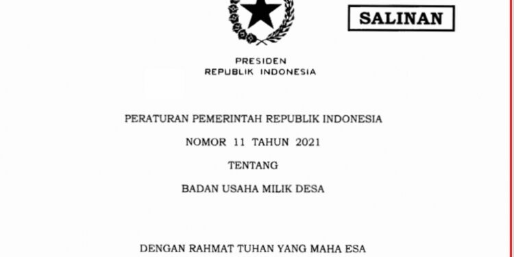 PP Nomor 11 Tahun 2021, Buka Peluang BUMDes Kembangkan Usaha