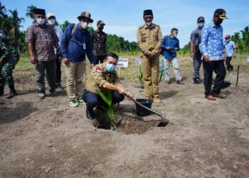 Gubernur Al Haris Akan Carikan Importir Pinang untuk Petani di Sadu