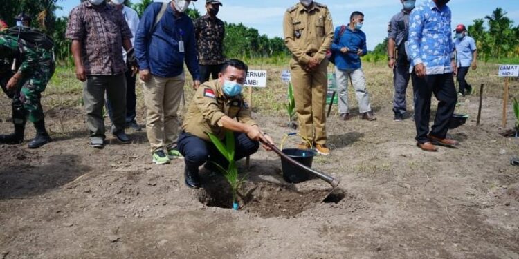 Gubernur Al Haris Akan Carikan Importir Pinang untuk Petani di Sadu
