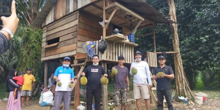 Awas Ketagihan Legitnya Durian Kelumbi di Kampung Durian Desa Penyambungan