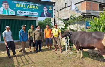 Semarakkan Idul Adha, DPW PKB Jambi Bagikan Daging Kurban Untuk Warga