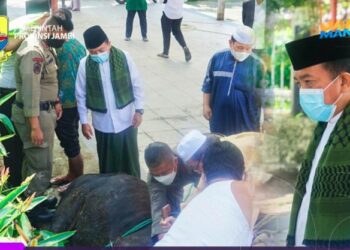 Idul Adha 2021, Al Haris Kurban untuk Hadiahkan Pemimpin Jambi terdahulu