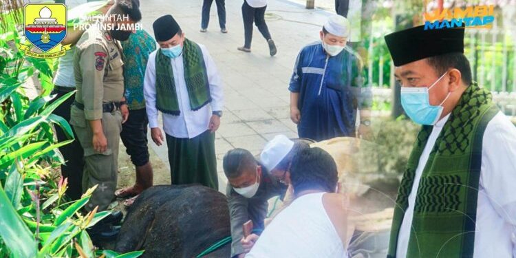 Idul Adha 2021, Al Haris Kurban untuk Hadiahkan Pemimpin Jambi terdahulu