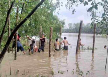 Potensi Desa Wisata Mangrove di Desa Kuala Lagan