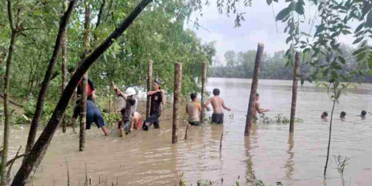 Potensi Desa Wisata Mangrove di Desa Kuala Lagan