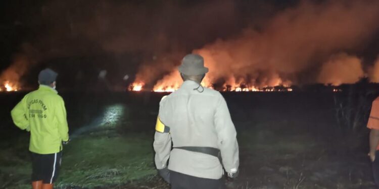 40 Hektar Lahan di Desa Sogo Kumpeh Hangus Terbakar