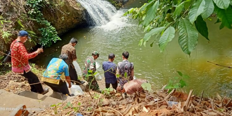 Jaga Ekosistem Sungai Pelabian, Pemdes Lubuk Lawas dan DKP Tabur 10 Ribu Benih Ikan