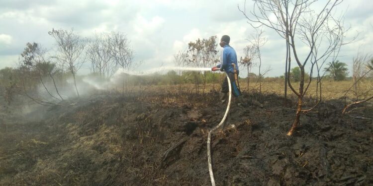 CCTV Pantau Asap, Bantu Warga Desa Sogo Identifikasi Titik Api