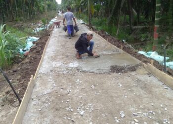 Dinas Perkim ” Tutup Mata ” Proyek Jalan Rabat Beton di Desa Sungai Kayu Aro Dikerjakan Asal Jadi