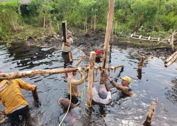Kepala BGRM : Rehabilitasi Mangrove Tahun 2021 Libatkan 464 Pokmas