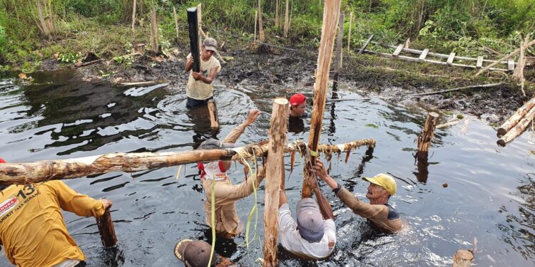 Kepala BGRM : Rehabilitasi Mangrove Tahun 2021 Libatkan 464 Pokmas