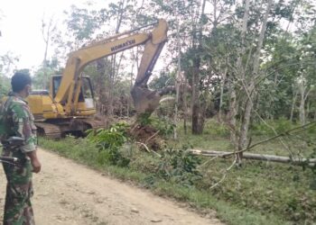 Hari Pertama Pra TMMD Ke-112 Kodim 0416/Bute Terjunkan Alat Berat