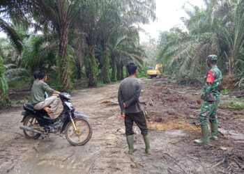 TMMD Buka Akses Jalan, Roda Perekonomian Jadi Lancar
