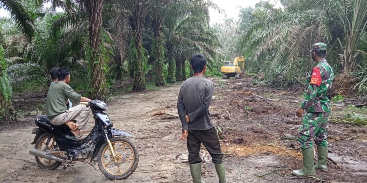 TMMD Buka Akses Jalan, Roda Perekonomian Jadi Lancar