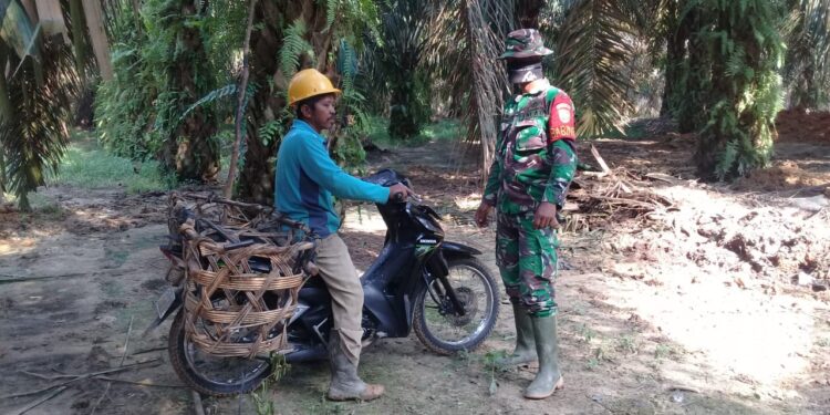 Jalan Baru TMMD, Jadikan Semangat Baru Petani di Sungai Bengkal