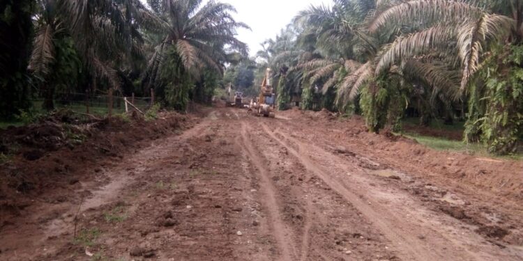 Masuk Hari Ke 6, Ini Progres TMMD 112 Kodim 0416/Bute di Sungai Bengkal