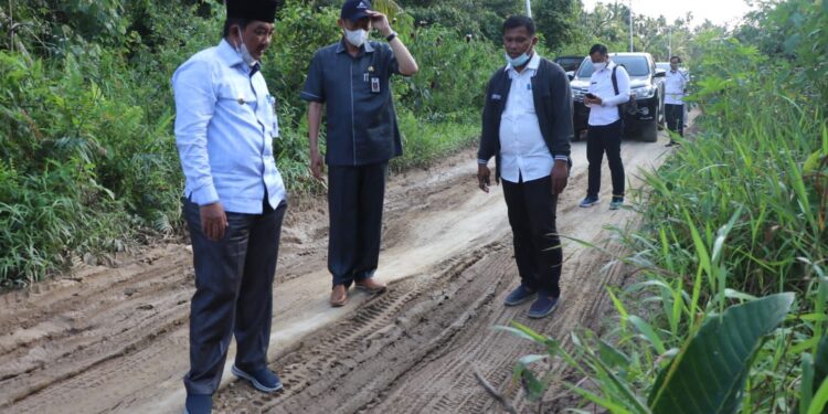 Tinjau Kondisi Infrastruktur dan Tiang PLN dari Pohon Pinang, Bupati Prihatin Akan Panggil PLN