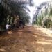 Satgas TMMD Buat Parit Pada Akses Jalan 10,2 KM