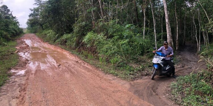 Jalan Desa Ini Rusak Parah, Banyak Masyarakat Jatuh Saat Melintas
