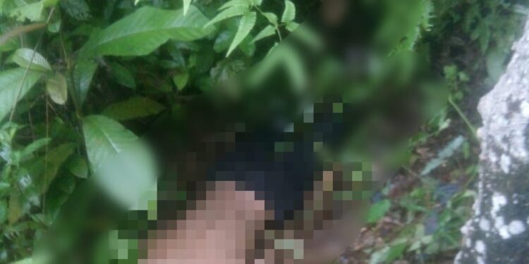 Warga Desa Pondok Meja Ditemukan Tewas di Kebun Karet