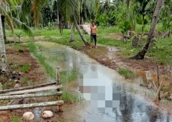 Jatuh ke Parit, Taufik Ditemukan Meninggal Dunia