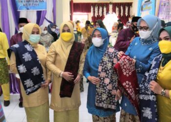 Kunjungi Sentra Oleh-oleh, Ketua TP-PKK Provinsi Jambi Apresiasi Kreativitas Ibu-Ibu PKK Tanjab Barat