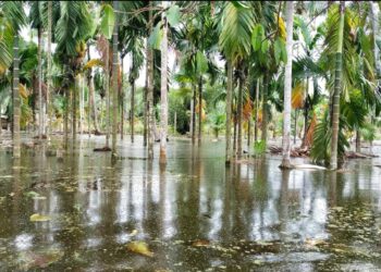 Ribuan Hektar Kebun Warga Desa Sungai Baung Terendam Air Kanal PT WKS