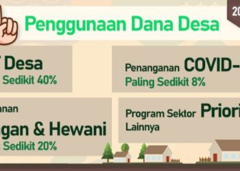 Peraturan Presiden Nomor 104 Tahun 2021 : Minimal 40 Persen Dana Desa 2022 untuk BLT