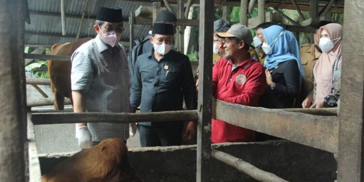 Kunker Ke Desa Purwodadi, Bupati Bersama Ketua DPRD Tinjau Peternakan Sapi
