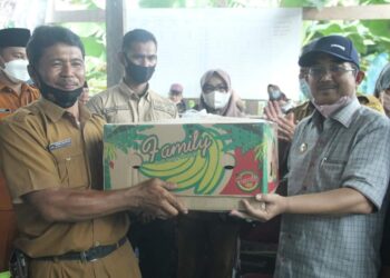 Panen Pisang Cavendish Perdana di Desa Purwodadi, Bupati : Pisang Cavendish Kita Jadikan Pilot Project