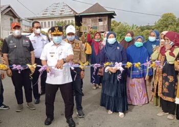 Pulkam, Gubernur Jambi Resmikan Jalan Jangkat