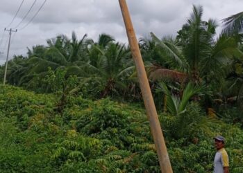 2 Hari Berturut, Listrik di Seberang Tungkal Padam Hingga Puluhan Jam