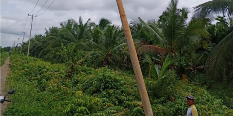 2 Hari Berturut, Listrik di Seberang Tungkal Padam Hingga Puluhan Jam
