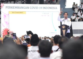 Presiden Apresiasi Peran Desa Dalam Penanganan Pandemi