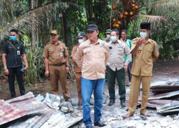 Tinjau Lokasi Kebakaran Desa Sungsang, Hairan Sampaikan Turut Berbela Sungkawa 