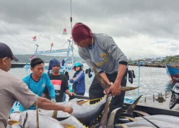 KKP Jamin Perizinan Berusaha Penangkapan Ikan Cepat dan Mudah