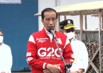 Presiden Optimis Pinang Biji Jadi Komoditas Ekspor Unggulan