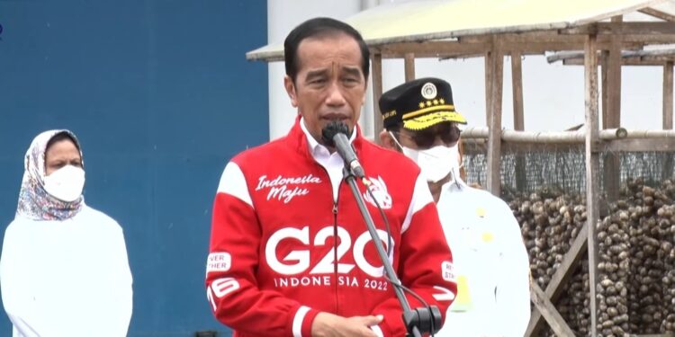 Presiden Optimis Pinang Biji Jadi Komoditas Ekspor Unggulan