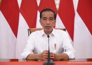 Ekspor Bahan Baku Minyak Goreng Dilarang Mulai 28 April 2022