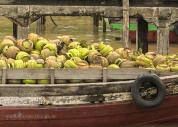 Pemerintah Pusat Minta Pemda Awasi Pengendalian LPG 3 Kg