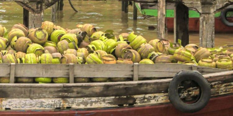 Pemerintah Pusat Minta Pemda Awasi Pengendalian LPG 3 Kg