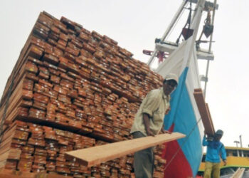 Empuknya Prospek Bisnis Kayu Ringan