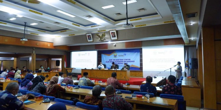 Abdullah Sani: Sinergitas Penting dalam Upaya Penurunan Stunting